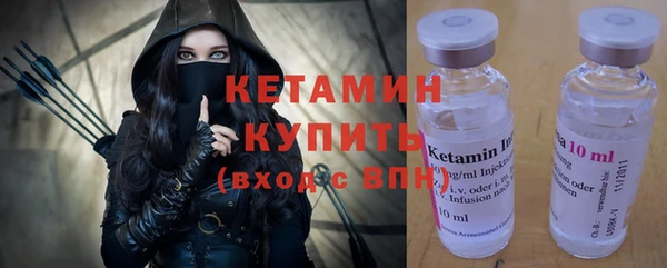 шишки Няндома