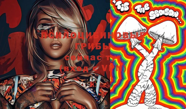 твердый Новокубанск