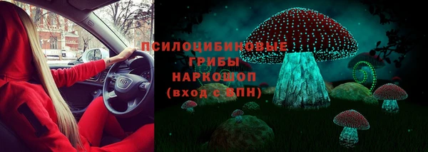 метадон Новодвинск